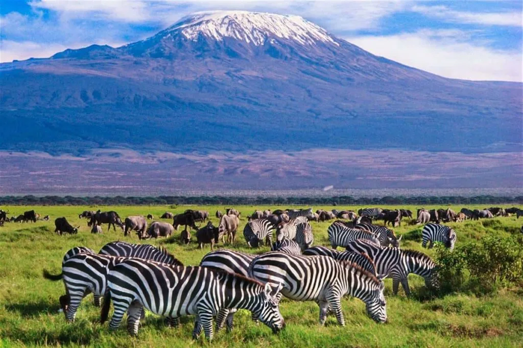 tourist attractions in Africa: Amboseli National Reserve, Kenya