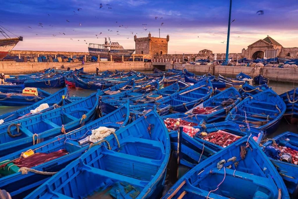 tourist attraction in africa Essaouira Morocco