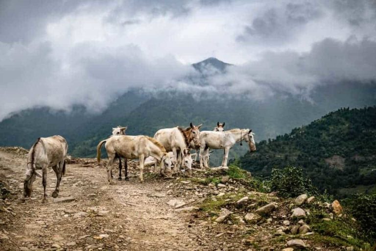 best trekking destinations in Nepal