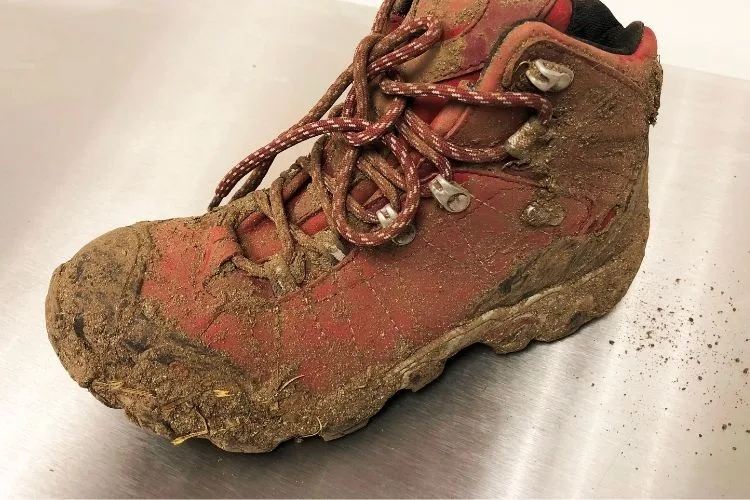 remove dirt from shoes