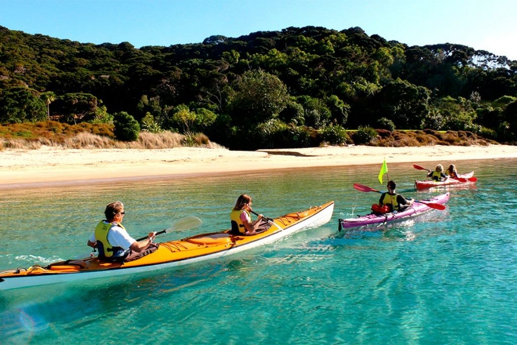 Places to Visit in New Zealand: Bay of Islands