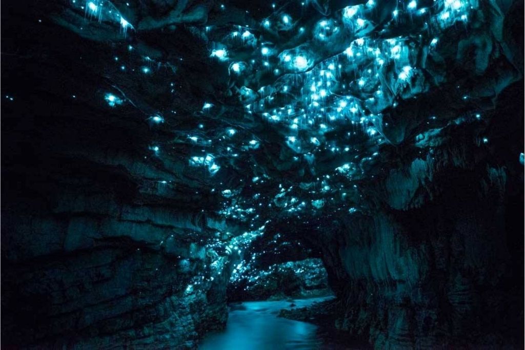 Waitomo Glowworm Cave
