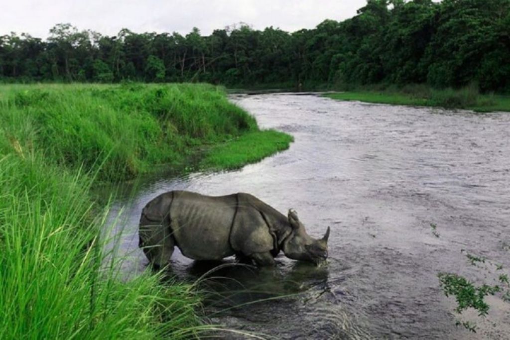 Chitwan travel guide
