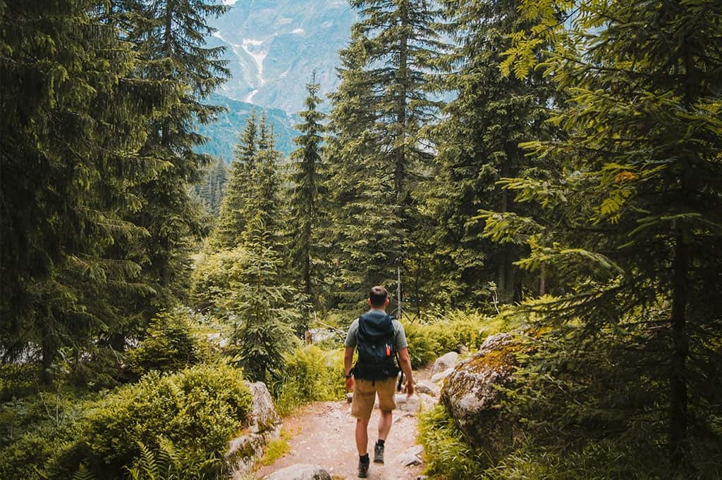 A guide on downhill hiking including benefits, strategies and training tips