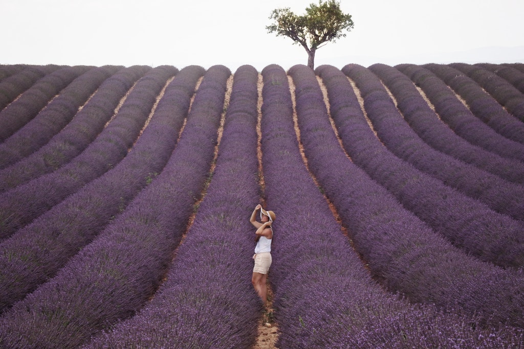 Places to Visit in France: Lavender fields at Provence