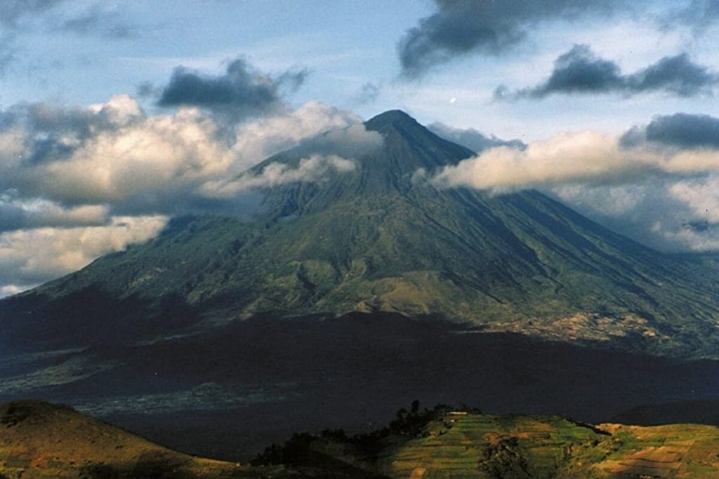 tourist attraction in Africa: Mgahinga Gorilla National Park, Uganda
