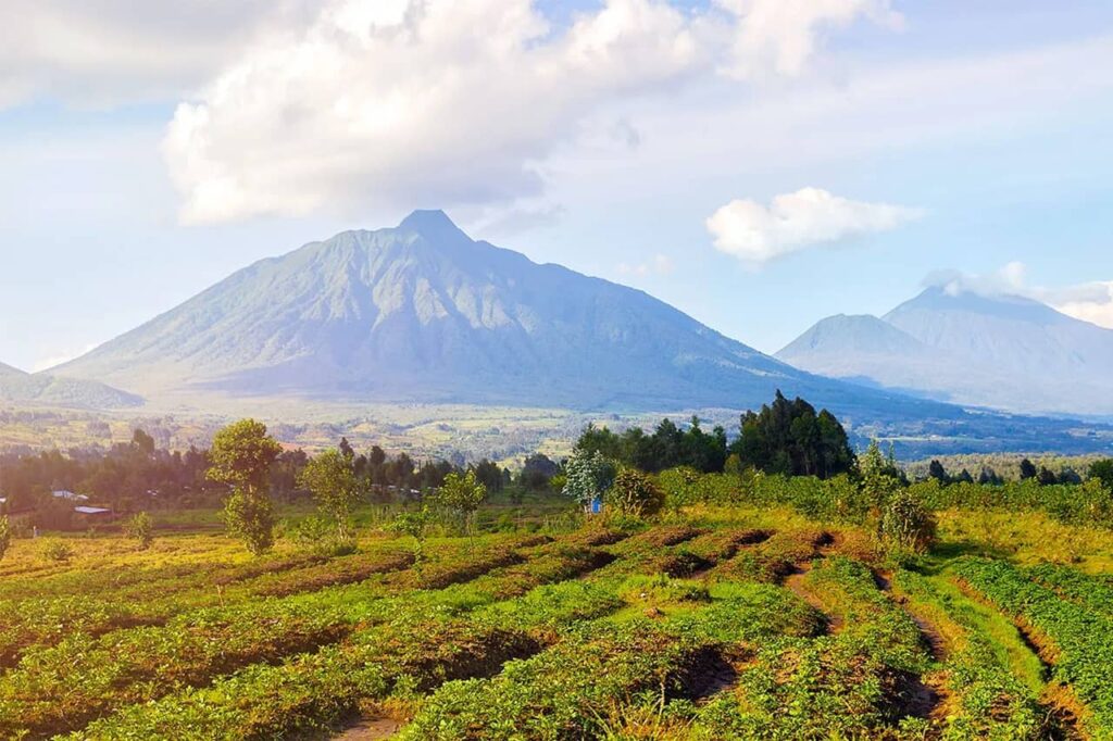 Mount Karisimbi tenth highest mountain in Africa