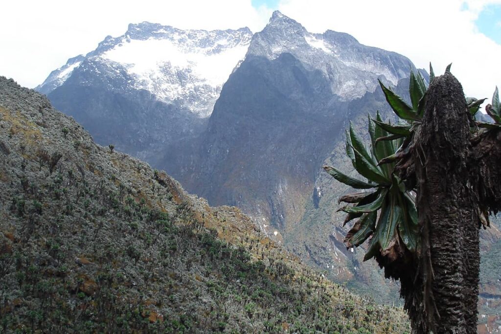 Mount Speke seventh highest mountain in Africa
