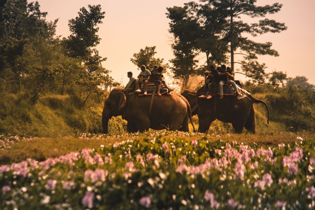 Best experiences of Nepal: Safari in Chitwan