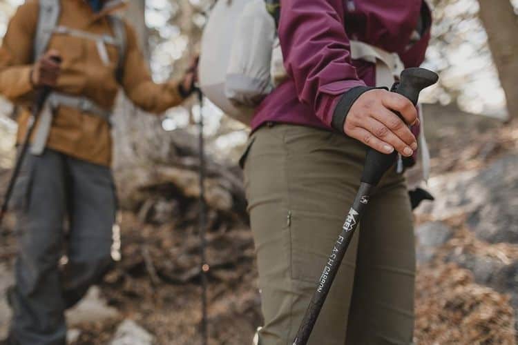 best trekking poles