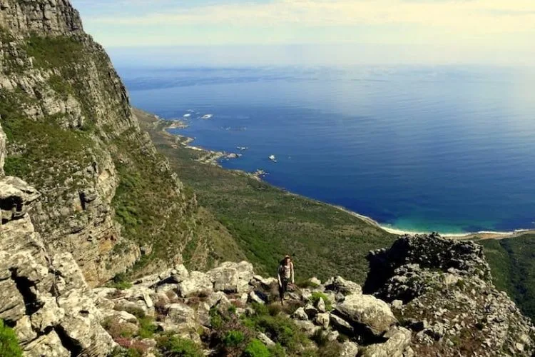 things to do in south africa: hike the table mountain