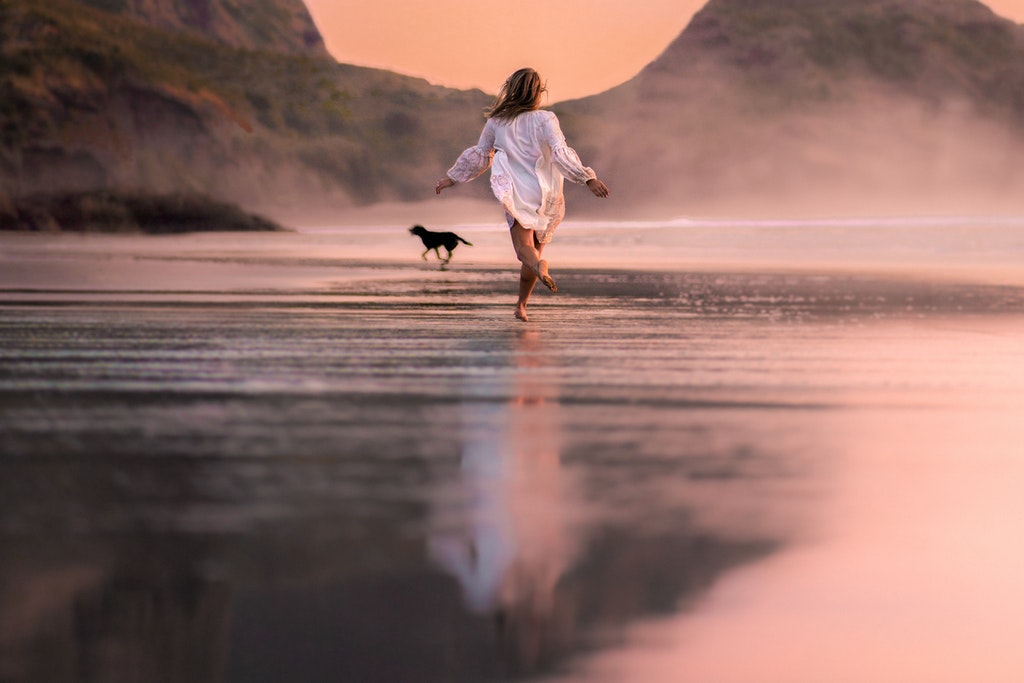 traveling with dogs: take them on a walk